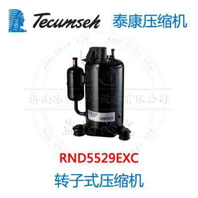 RND5529EXC RND5529EXC